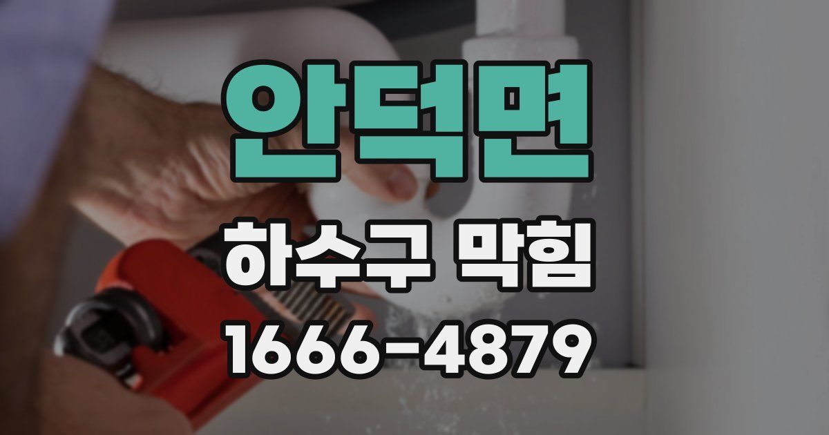안덕면 하수구 막힘
