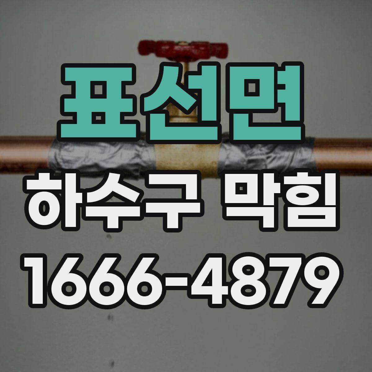 표선면 하수구 막힘