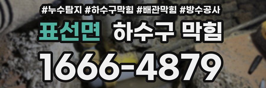 표선면 하수구 막힘