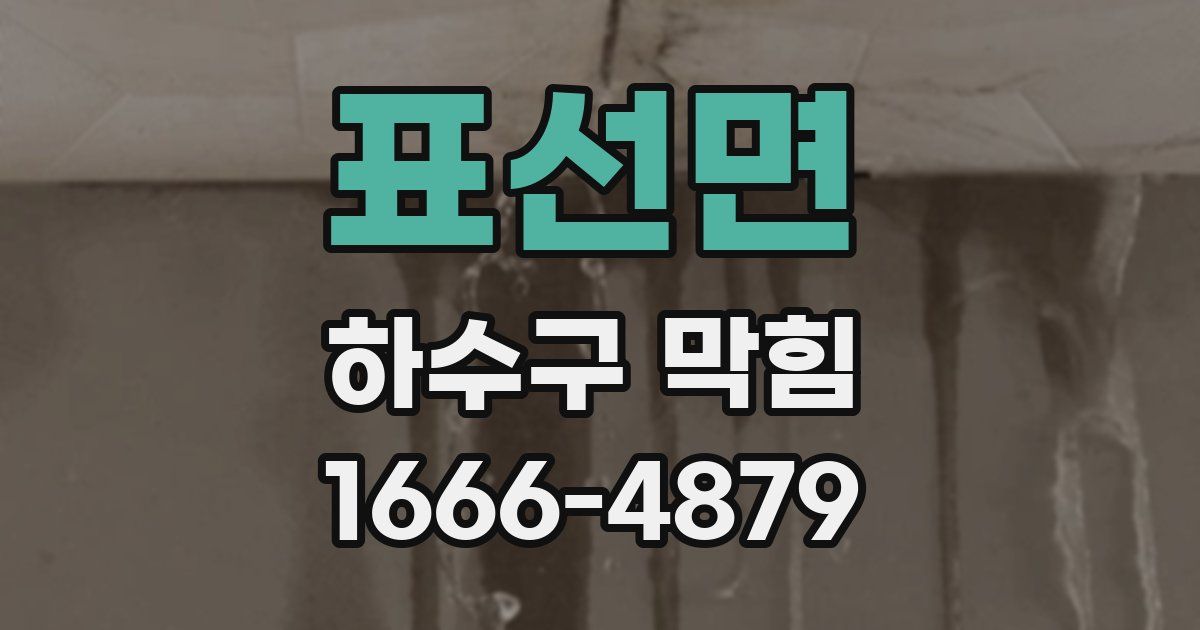 표선면 하수구 막힘