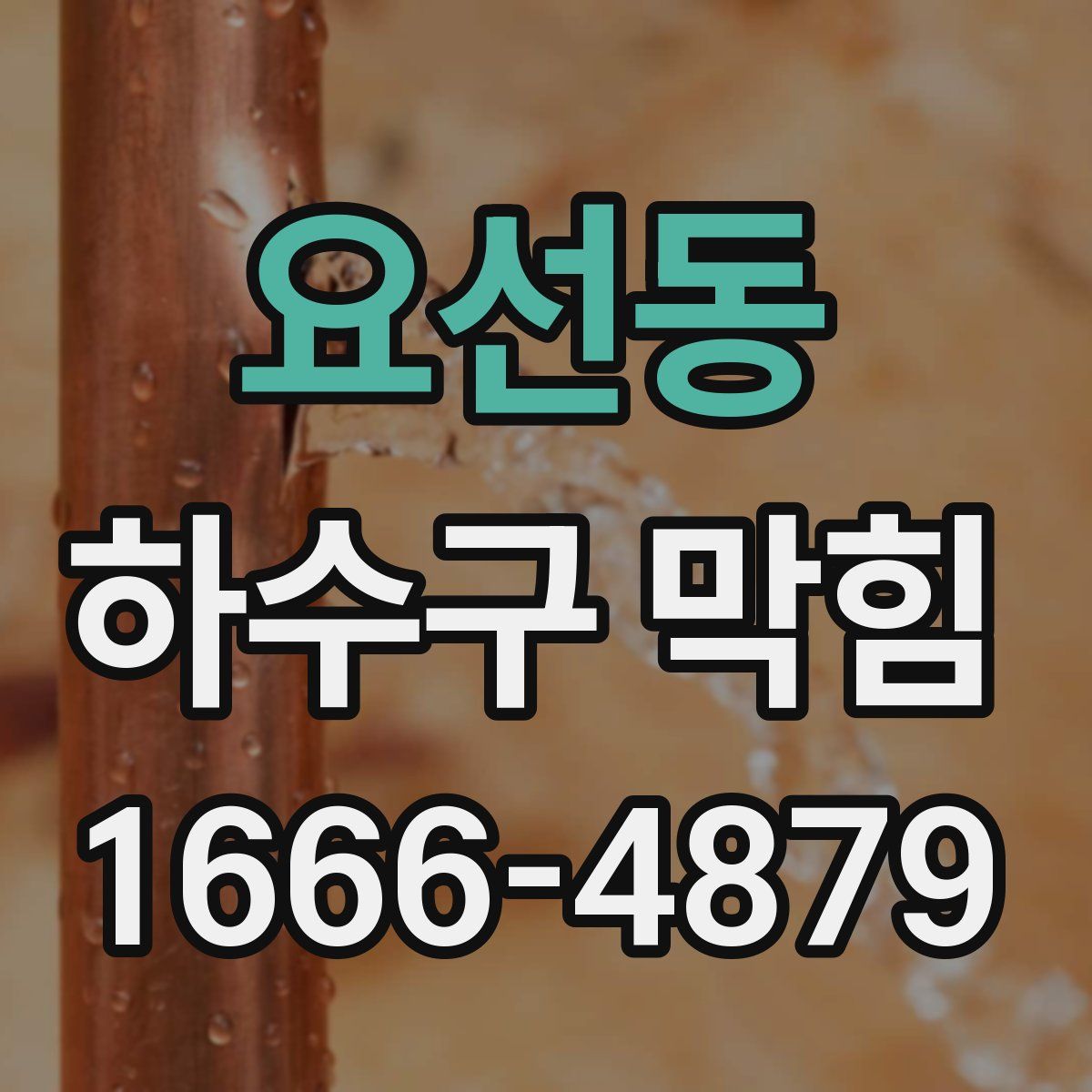 요선동 하수구 막힘