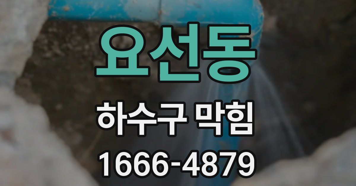 요선동 하수구 막힘