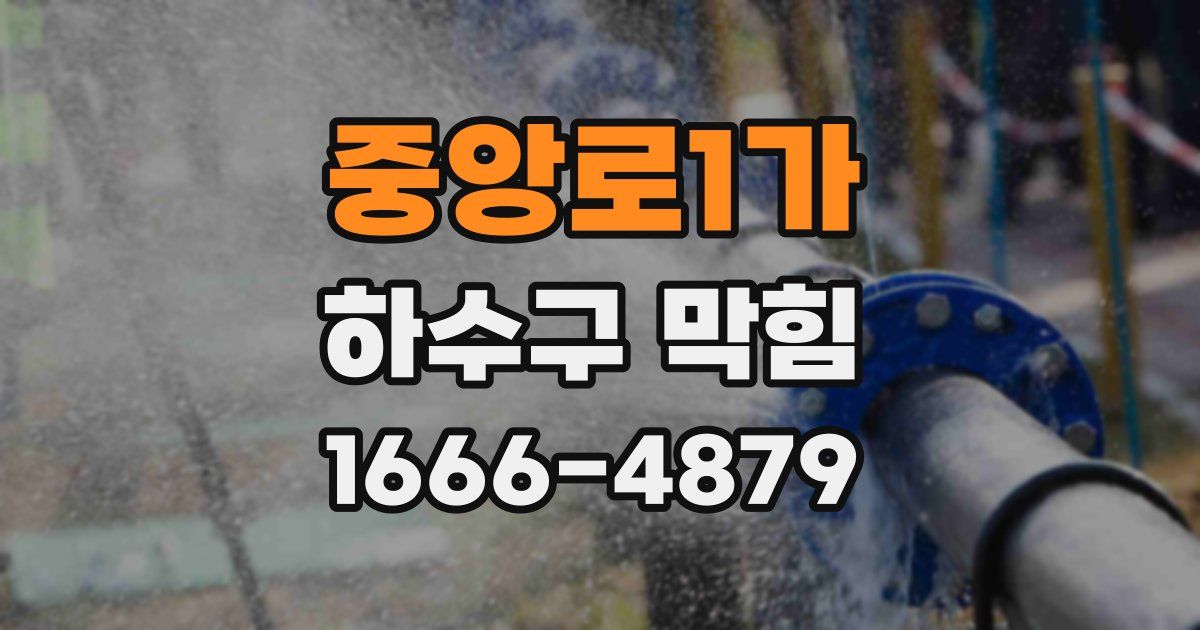 중앙로1가 하수구 막힘
