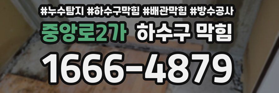 중앙로2가 하수구 막힘