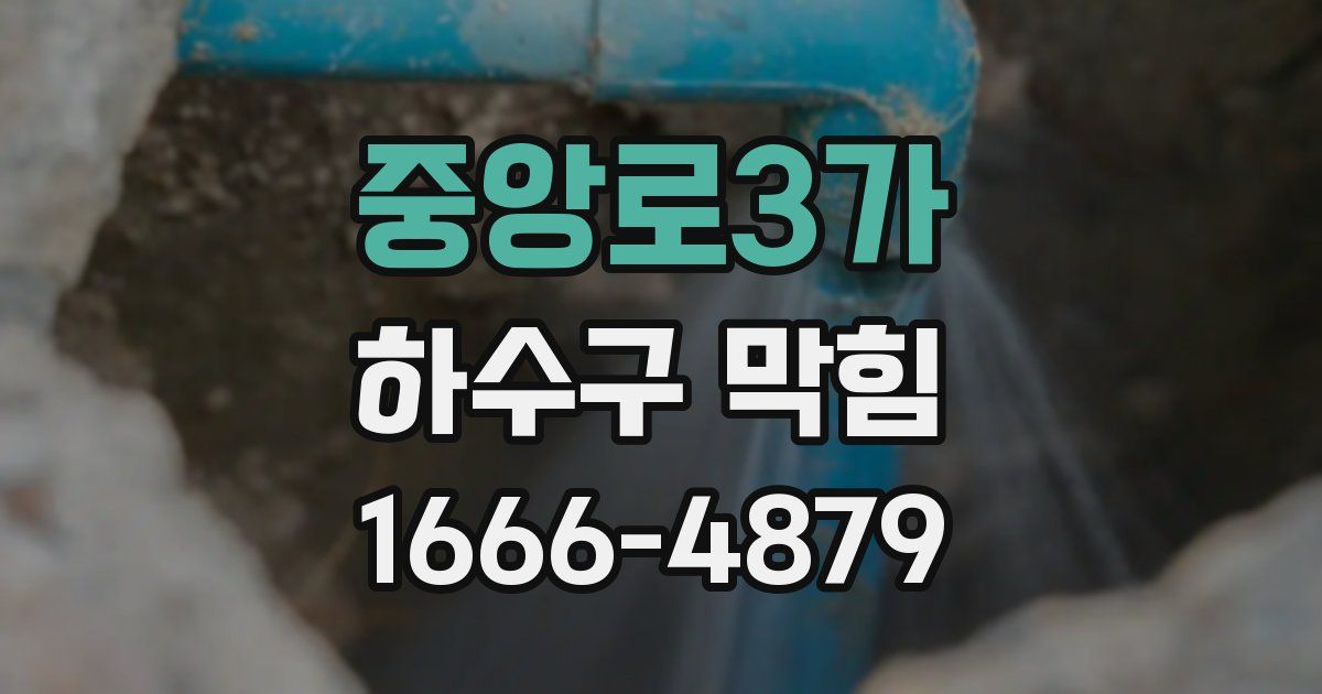 중앙로3가 하수구 막힘