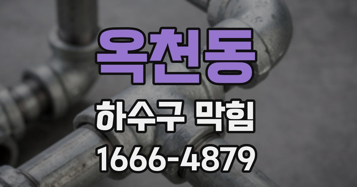 옥천동 하수구 막힘