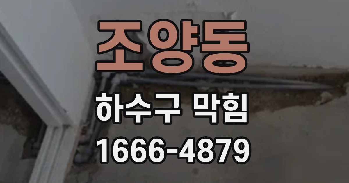조양동 하수구 막힘