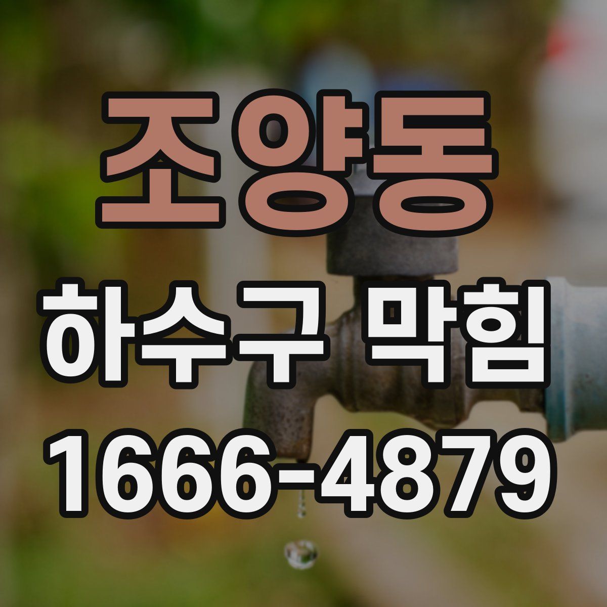 조양동 하수구 막힘