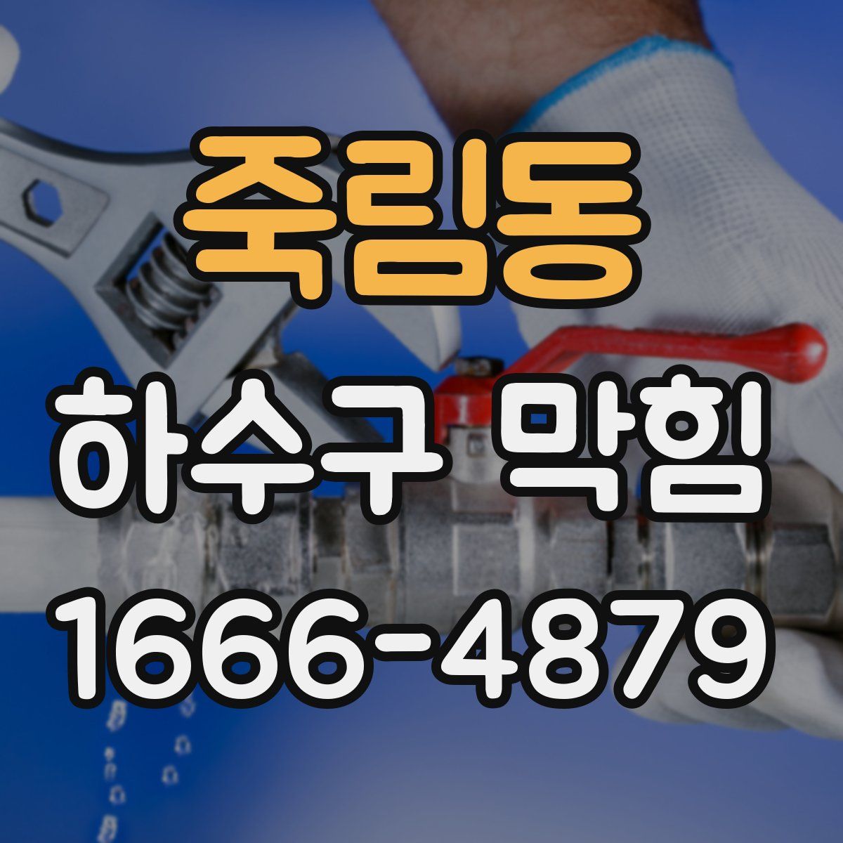 죽림동 하수구 막힘