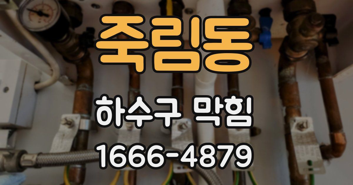 죽림동 하수구 막힘