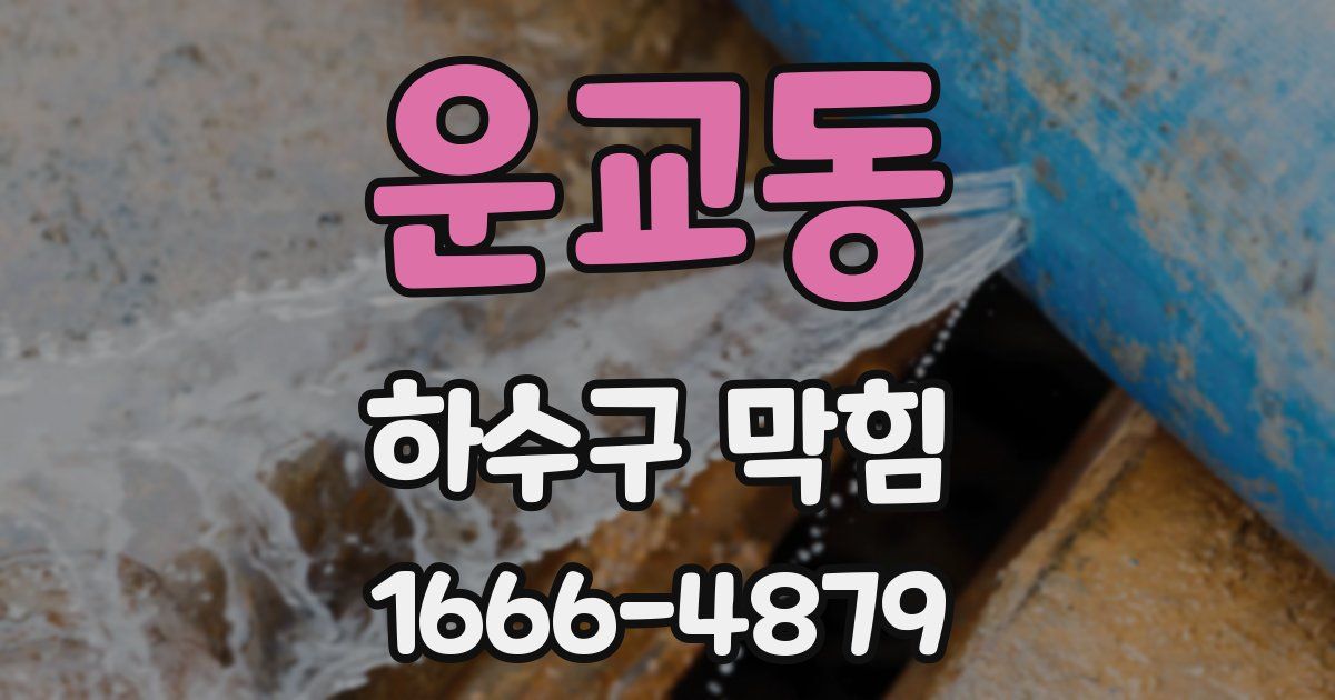 운교동 하수구 막힘