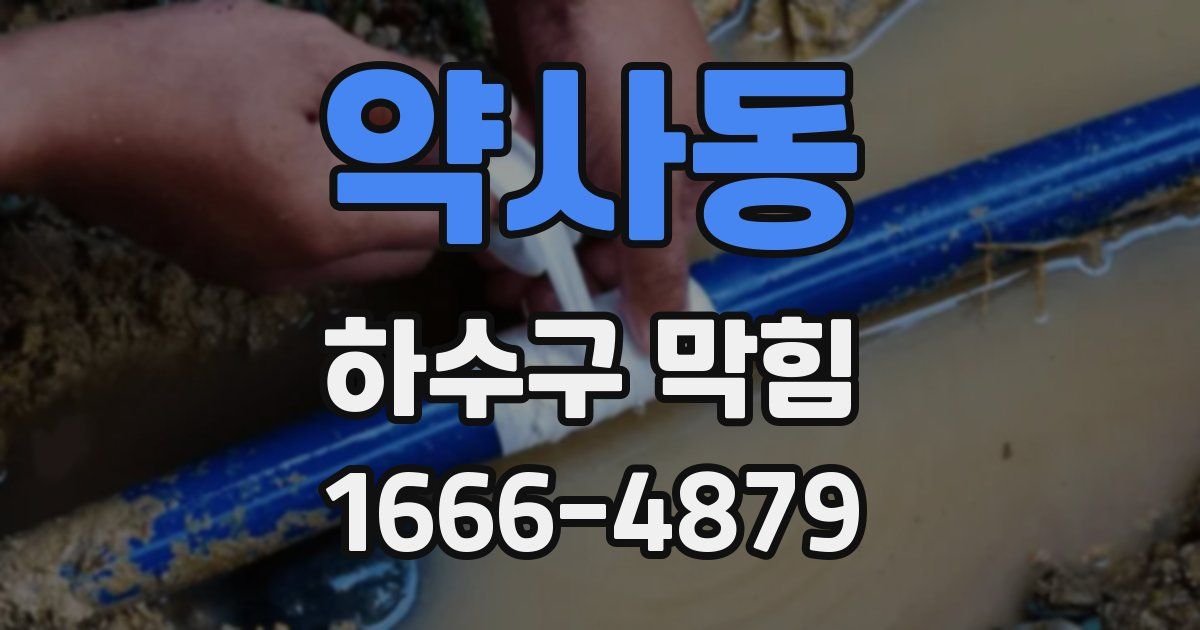 약사동 하수구 막힘