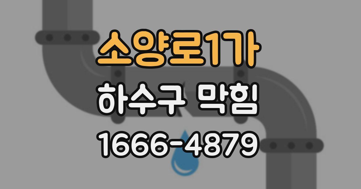 소양로1가 하수구 막힘