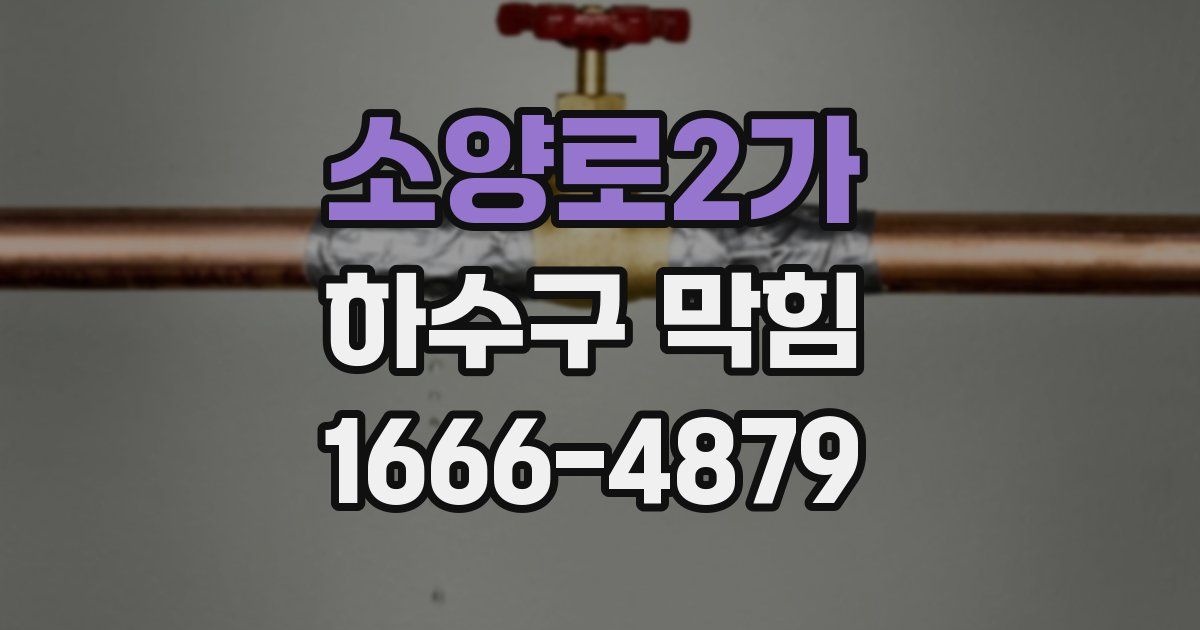 소양로2가 하수구 막힘