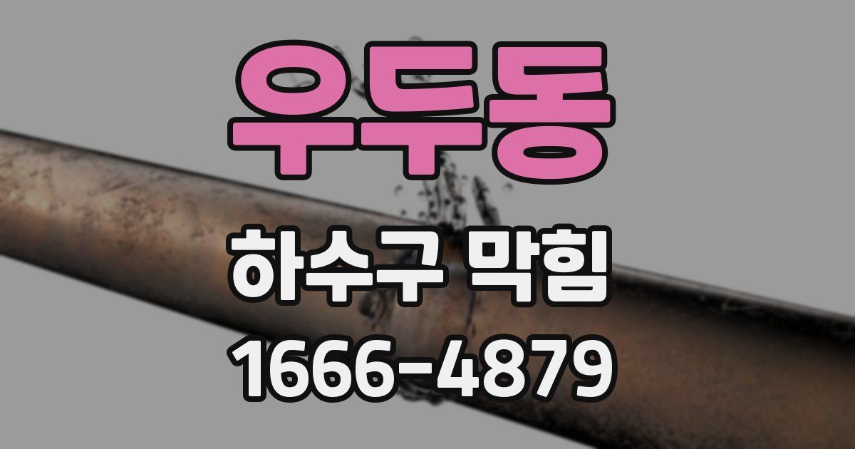 우두동 하수구 막힘