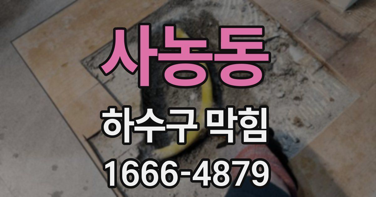 사농동 하수구 막힘