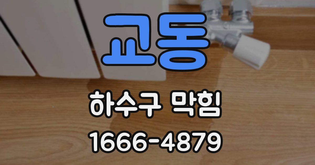 교동 하수구 막힘