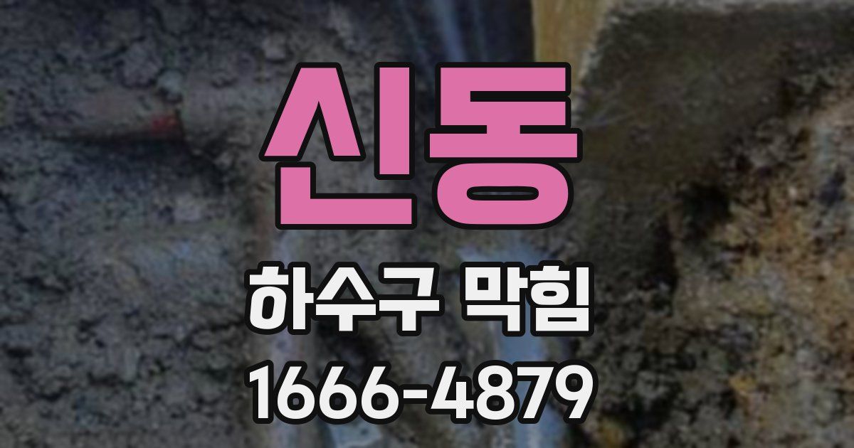 신동 하수구 막힘