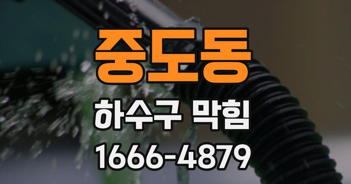 중도동 하수구 막힘