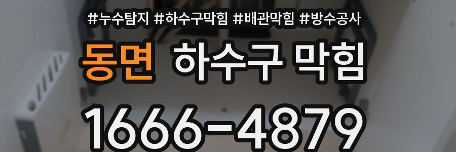 동면 하수구 막힘