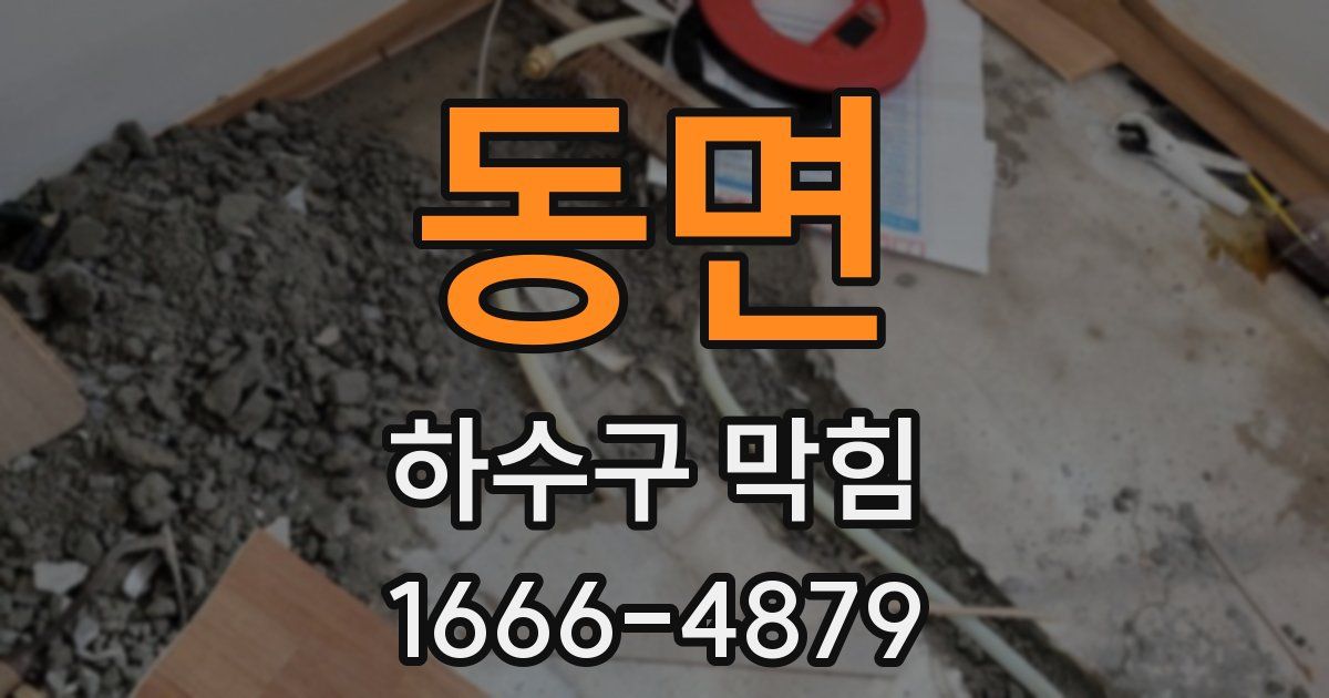 동면 하수구 막힘