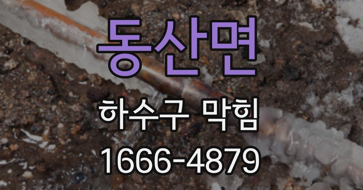 동산면 하수구 막힘