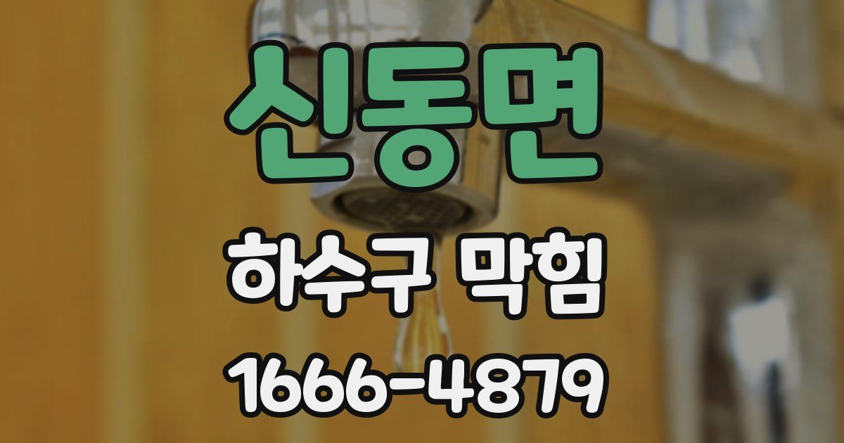신동면 하수구 막힘