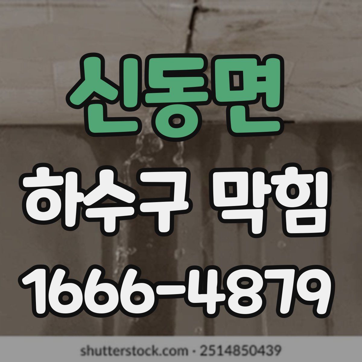 신동면 하수구 막힘