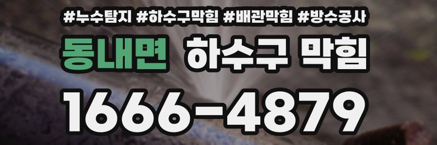 동내면 하수구 막힘