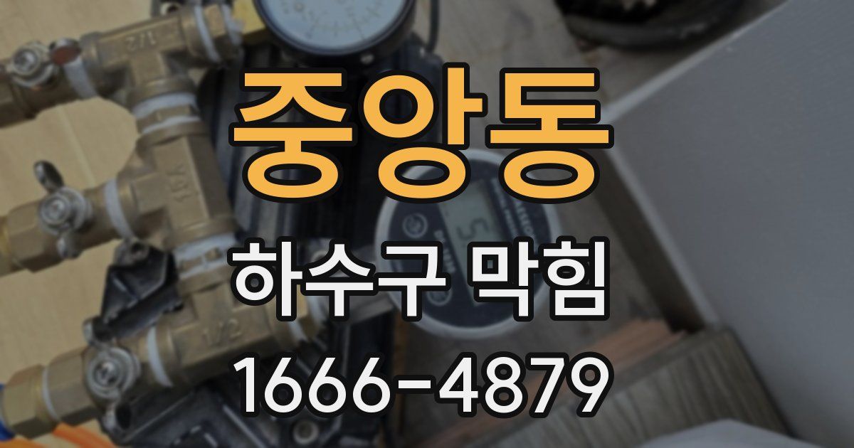 중앙동 하수구 막힘