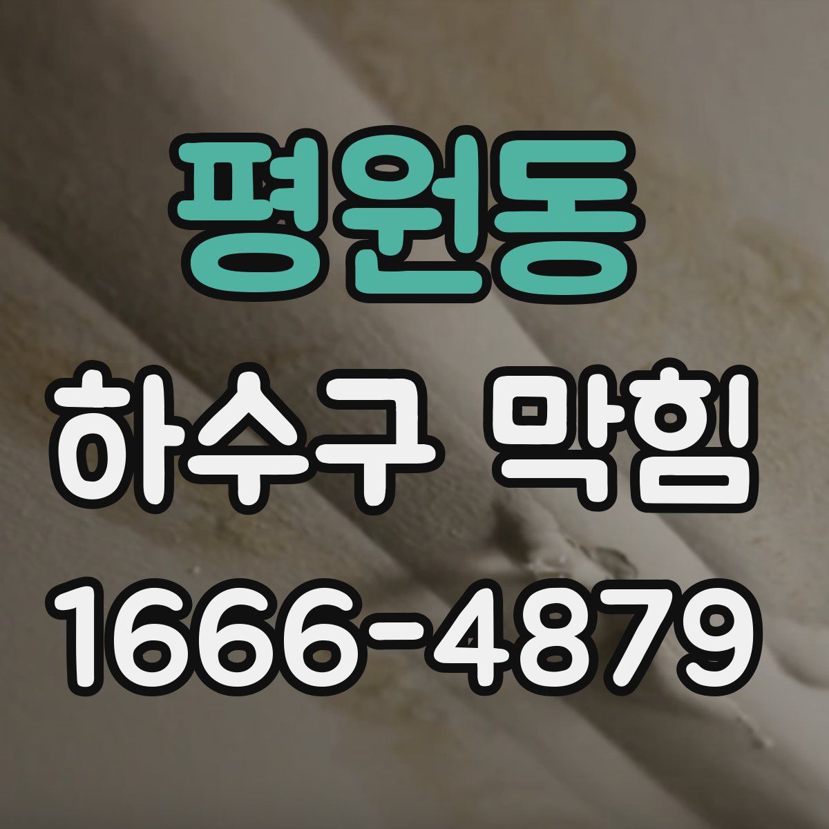 평원동 하수구 막힘