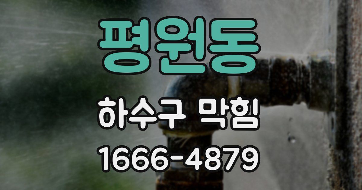 평원동 하수구 막힘
