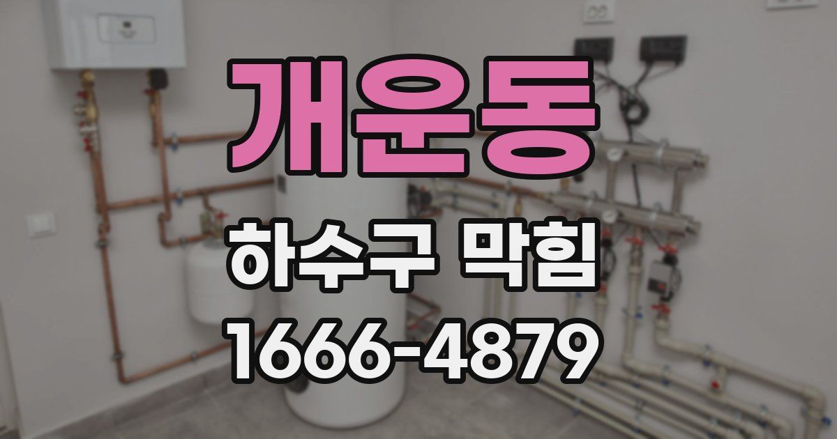 개운동 하수구 막힘