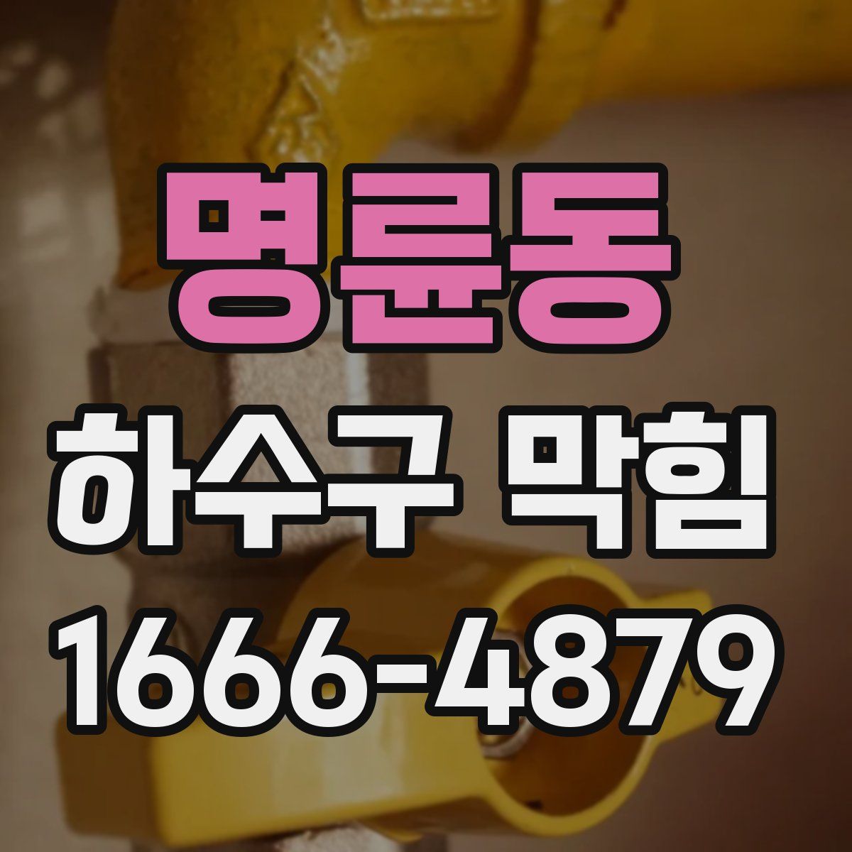 명륜동 하수구 막힘