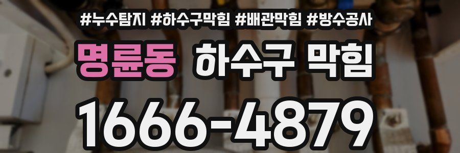 명륜동 하수구 막힘