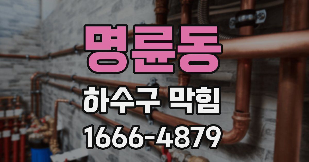 명륜동 하수구 막힘