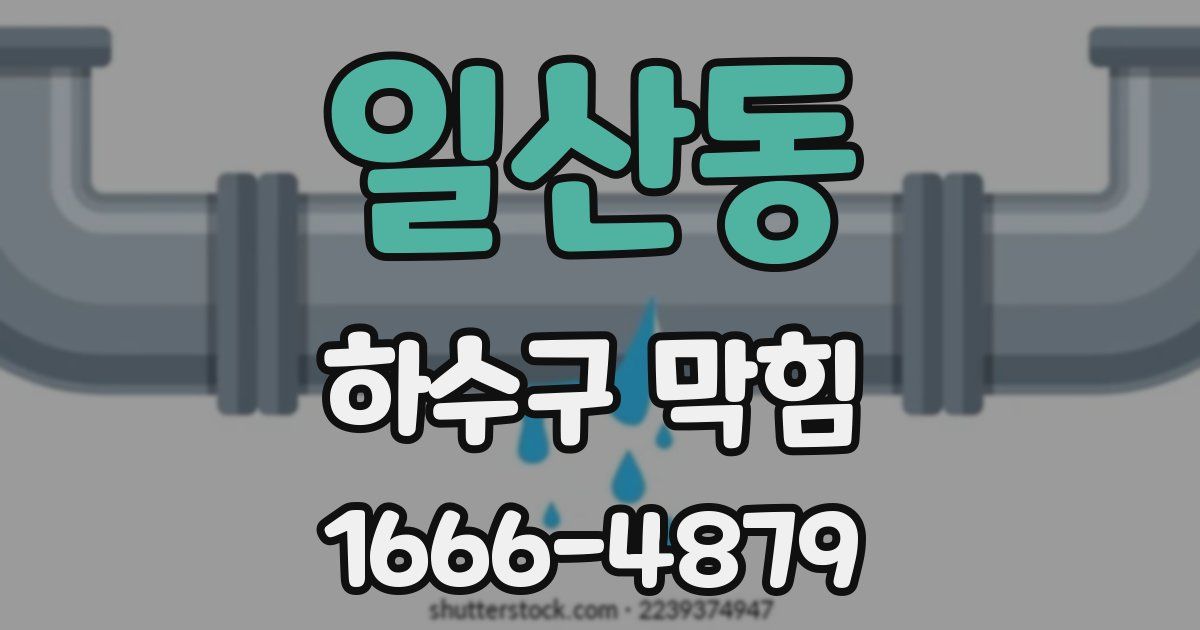 일산동 하수구 막힘