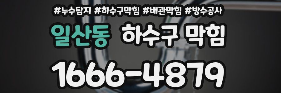 일산동 하수구 막힘