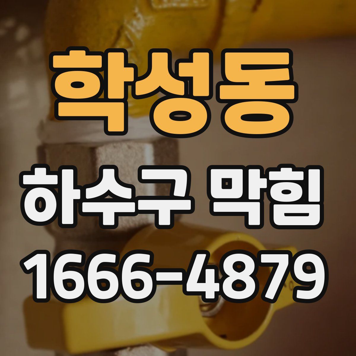 학성동 하수구 막힘