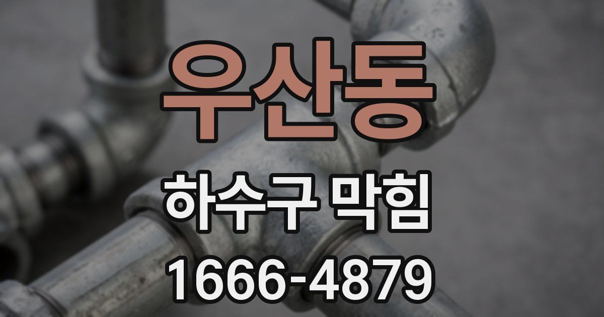 우산동 하수구 막힘