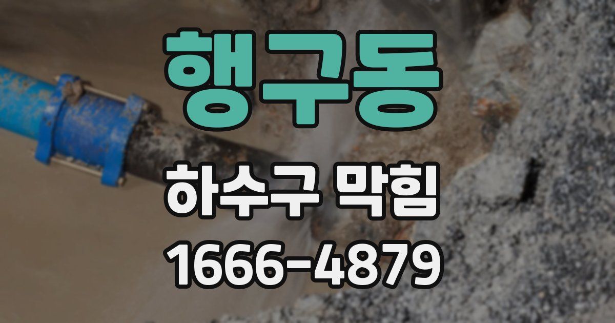 행구동 하수구 막힘