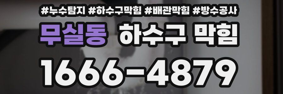 무실동 하수구 막힘