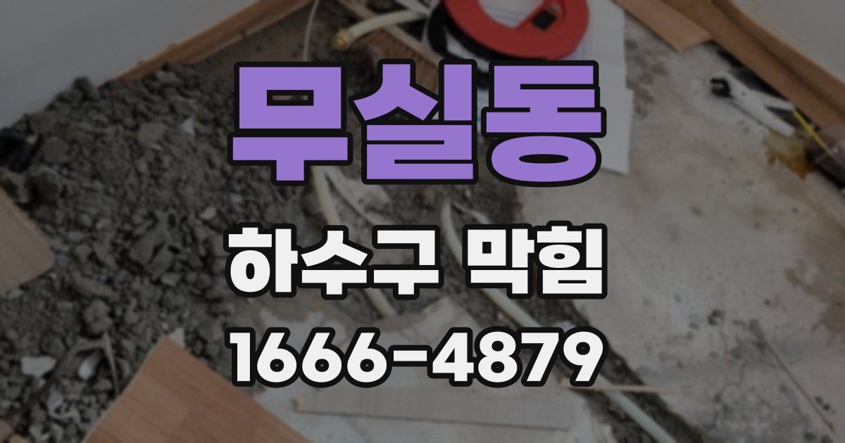 무실동 하수구 막힘