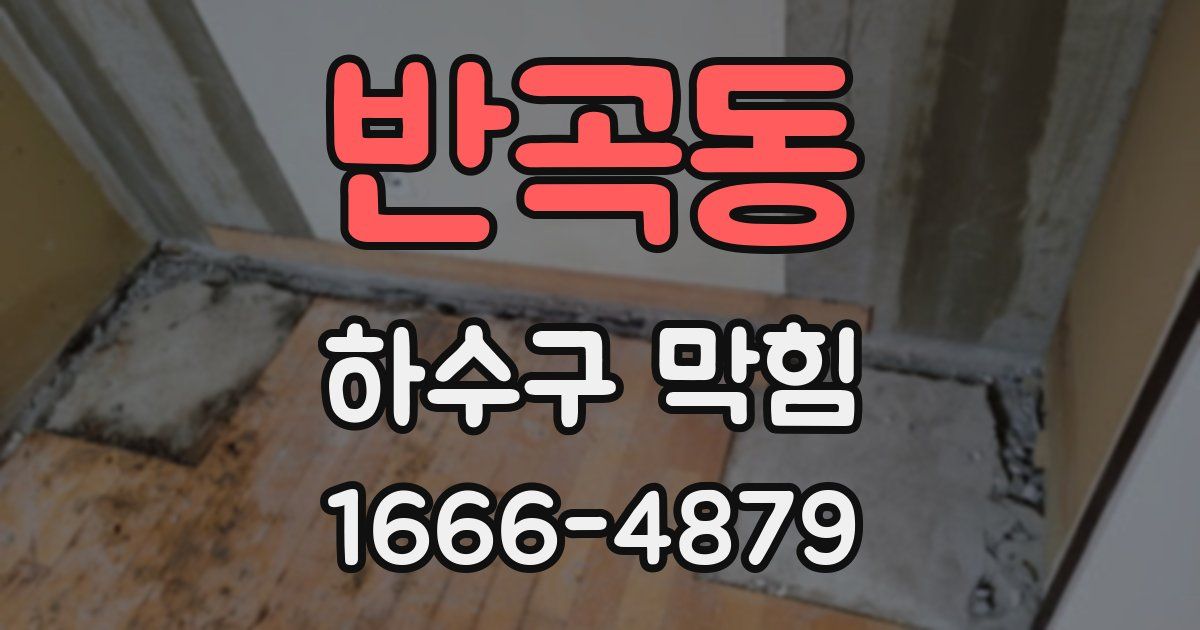 반곡동 하수구 막힘