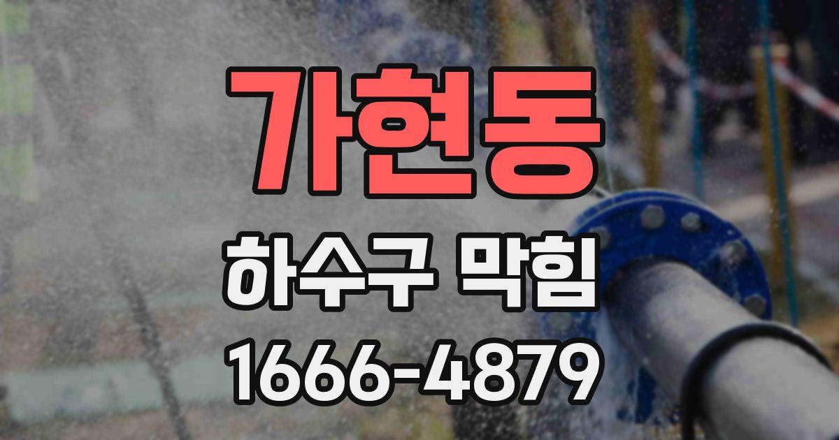 가현동 하수구 막힘