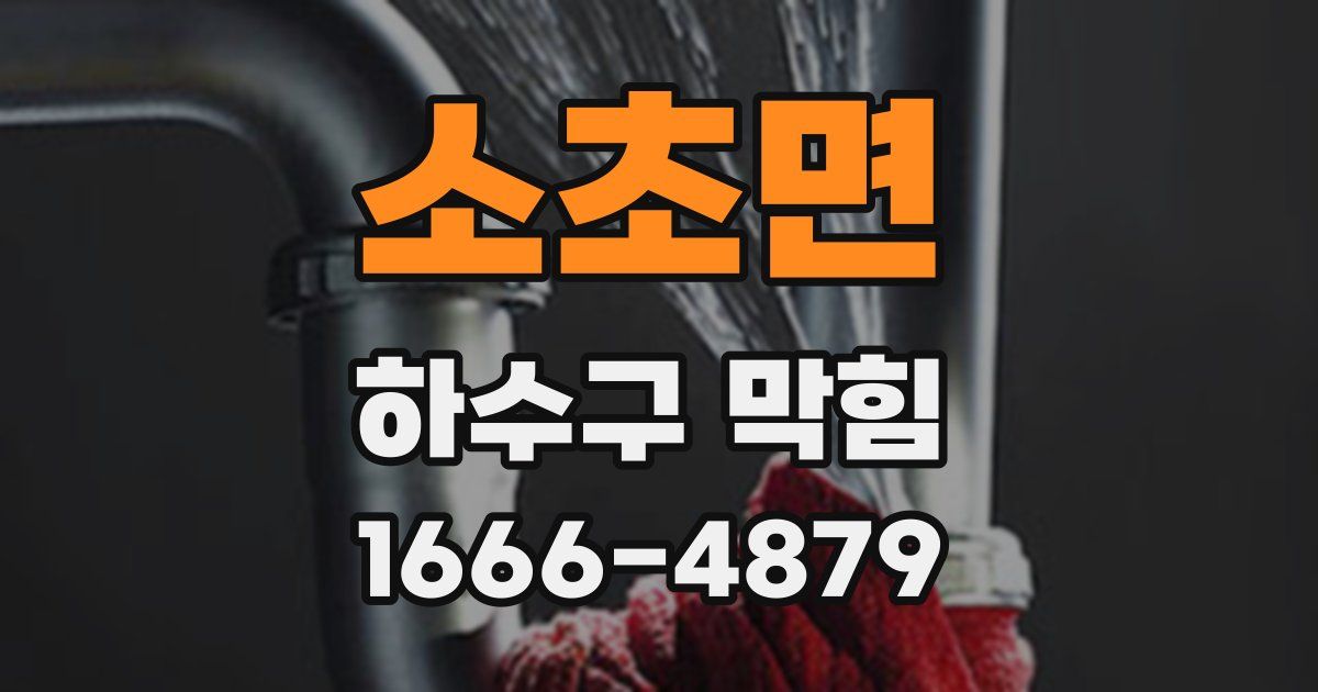 소초면 하수구 막힘