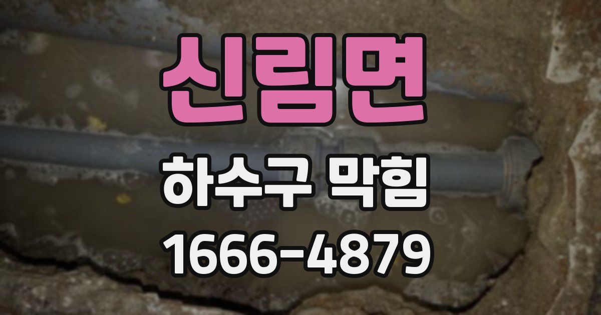 신림면 하수구 막힘