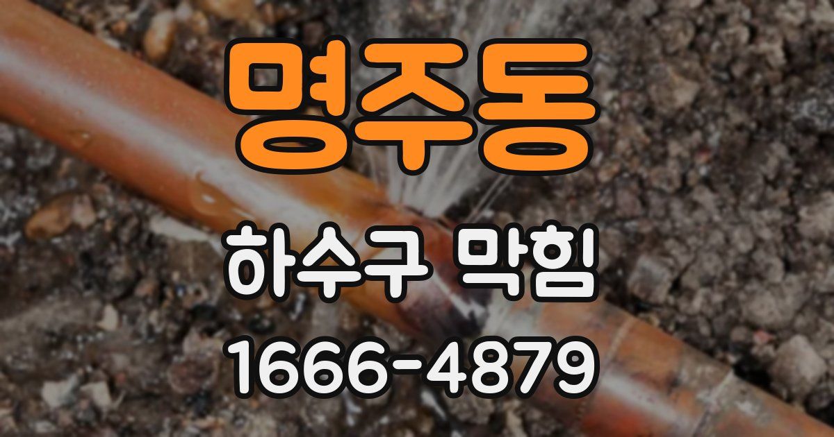 명주동 하수구 막힘