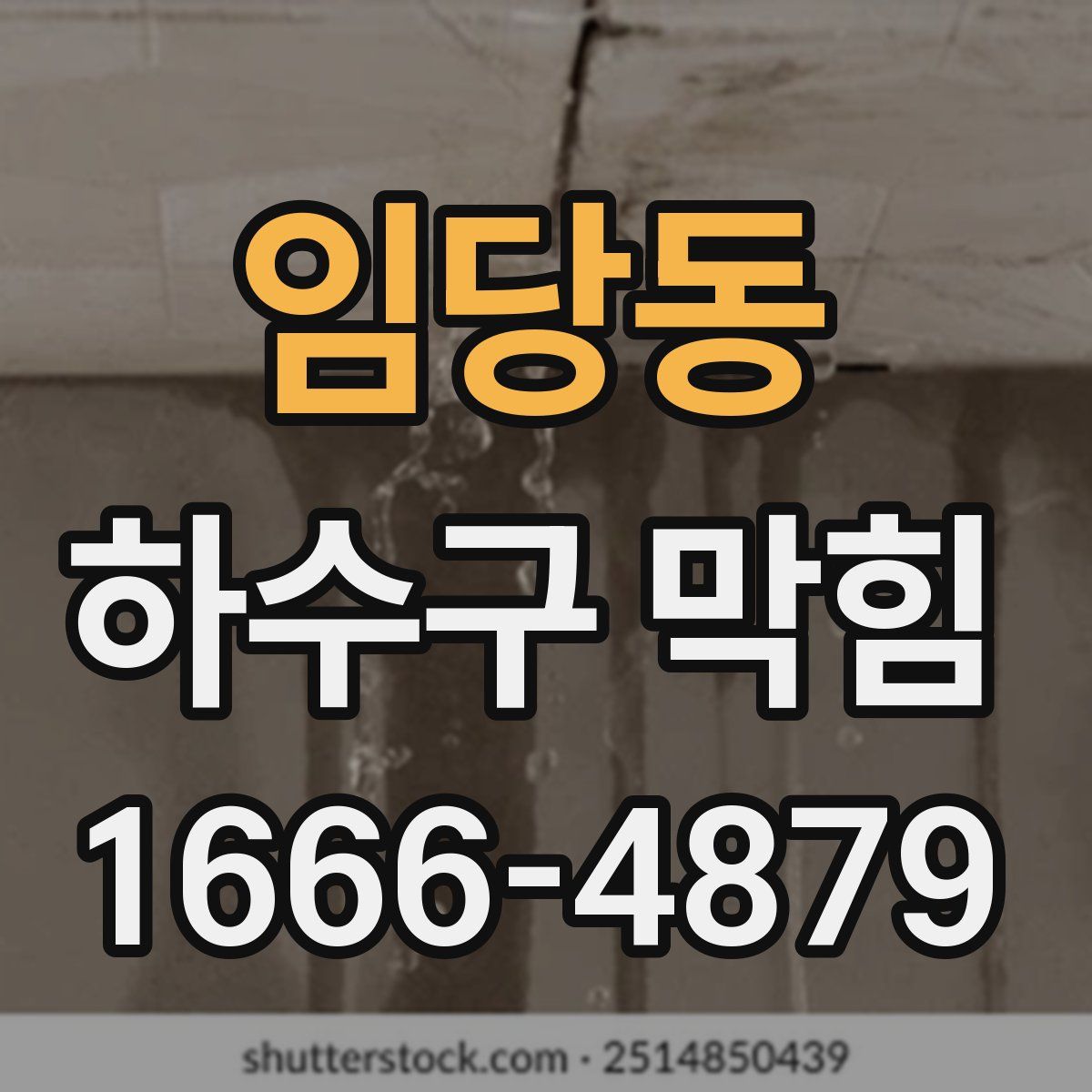 임당동 하수구 막힘