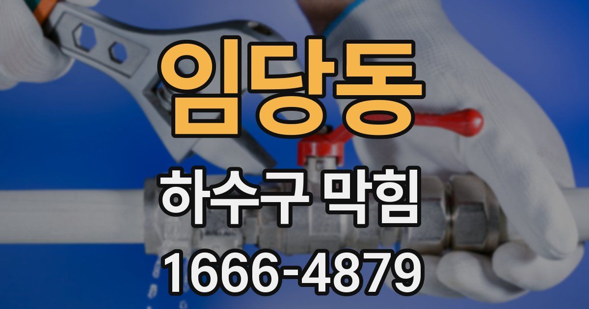 임당동 하수구 막힘